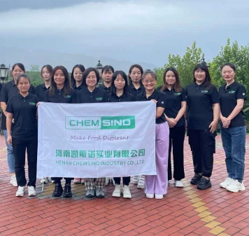 chemsino team