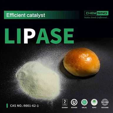 Digues adéu al malestar digestiu: prova l'enzim lipasa avui! NÚM. CAS:9001-62-1