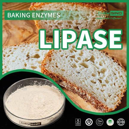 Alimenta el teu cos correctament: enzim de lipasa per a una utilització millorada dels nutrients NÚM. CAS:9001-62-1